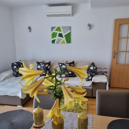 סיני Apartment Boba מראה חיצוני תמונה